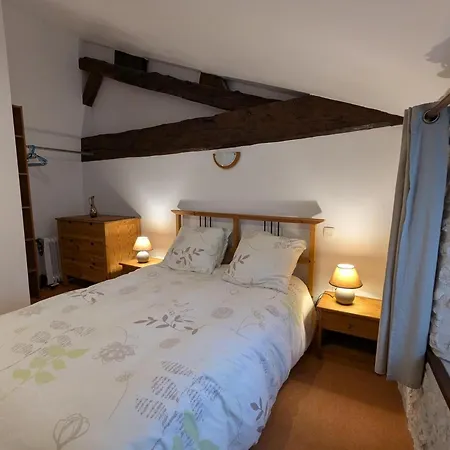 Grand Familial Avec Piscine Chauffee, Wi-fi Et Animaux Bienvenus - Fr-1-653-272 *